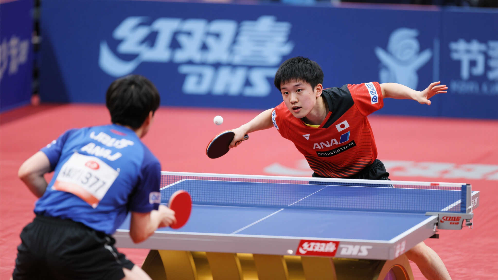 他们采取的 他们采取的