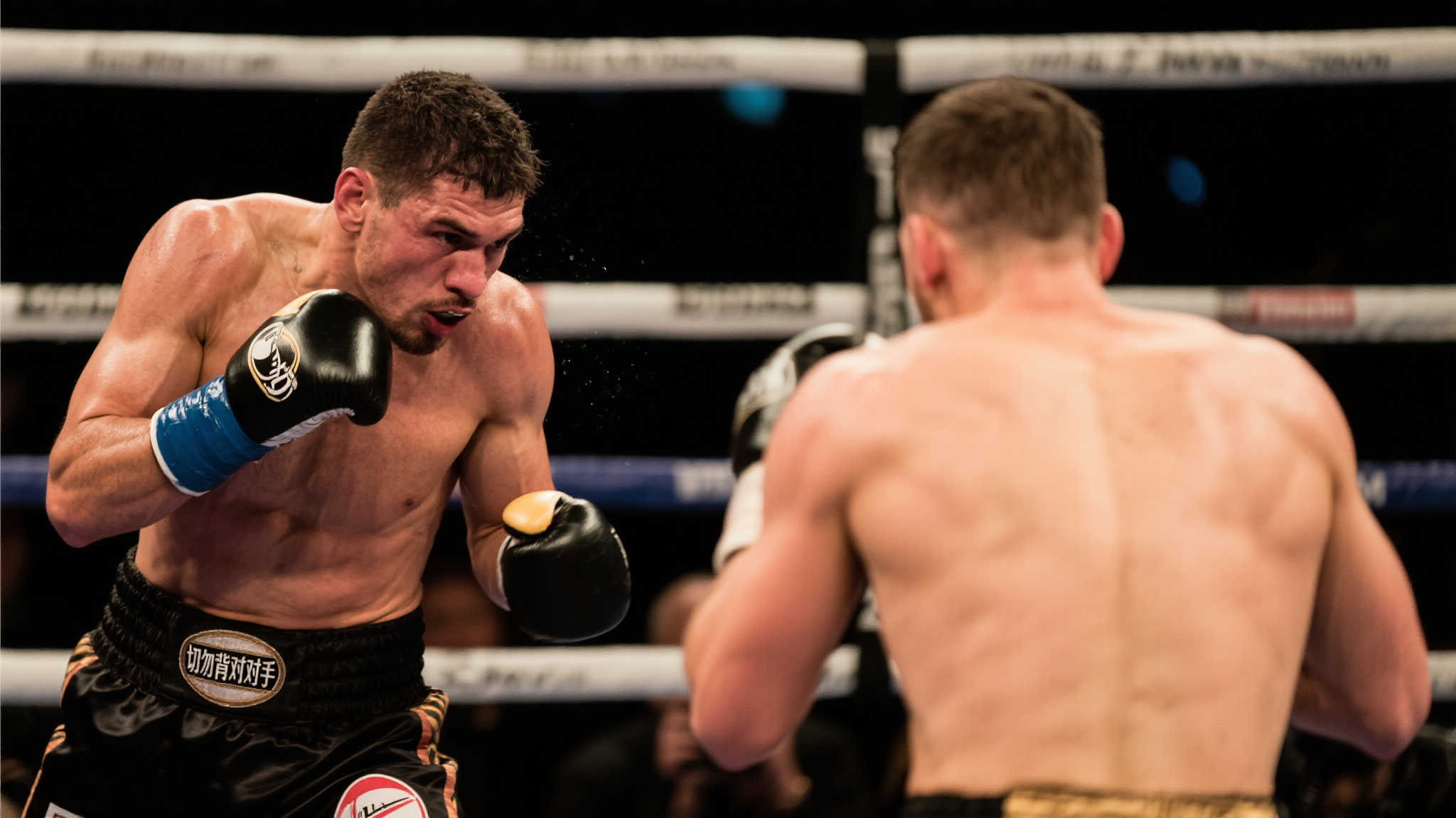 每球必追 每球必追